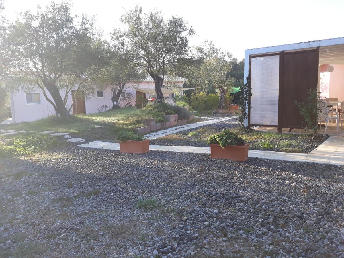 Matthaeus Am Corfutrail, Ferienoase Im Olivenhain 3 Km Zum *